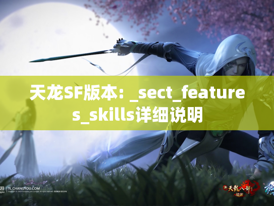 天龙SF版本: _sect_features_skills详细说明