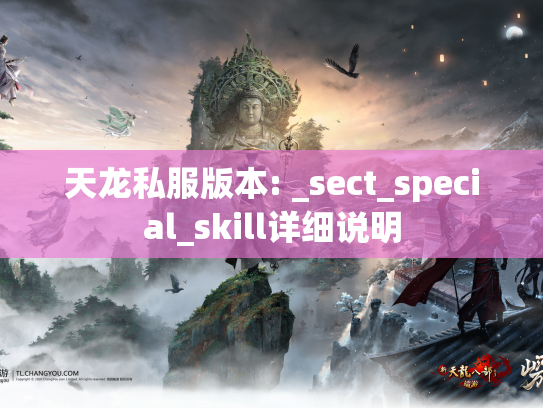 天龙私服版本: _sect_special_skill详细说明