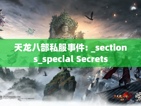 天龙八部私服事件: _sections_special Secrets